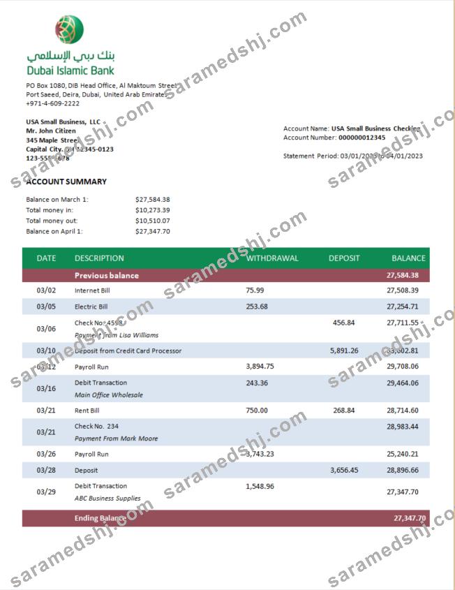 Dubai Islamic Bank enterprise statement Word and PDF template